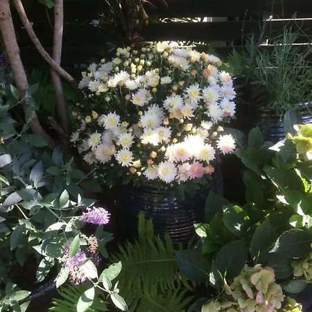 Spikergade 6 Lägenhet Tønder