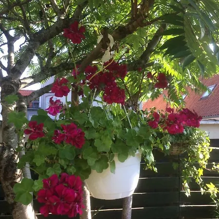 Apartmán Spikergade 6 Tønder