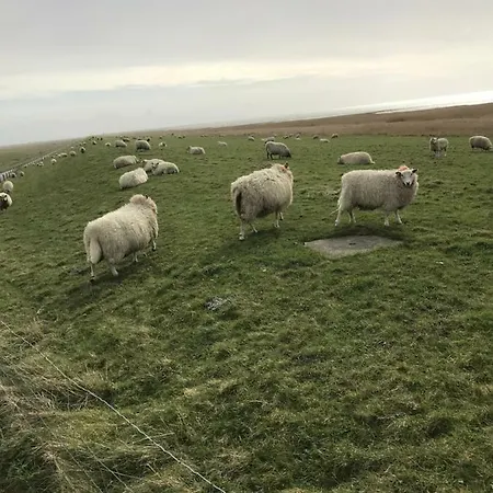 Daire Spikergade 6 *