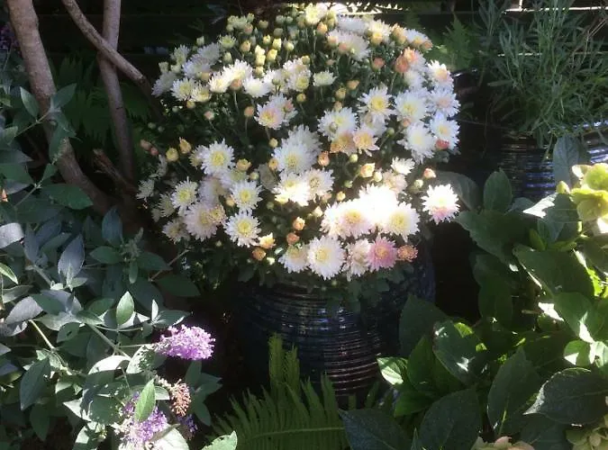 Spikergade 6 Apartment Tønder