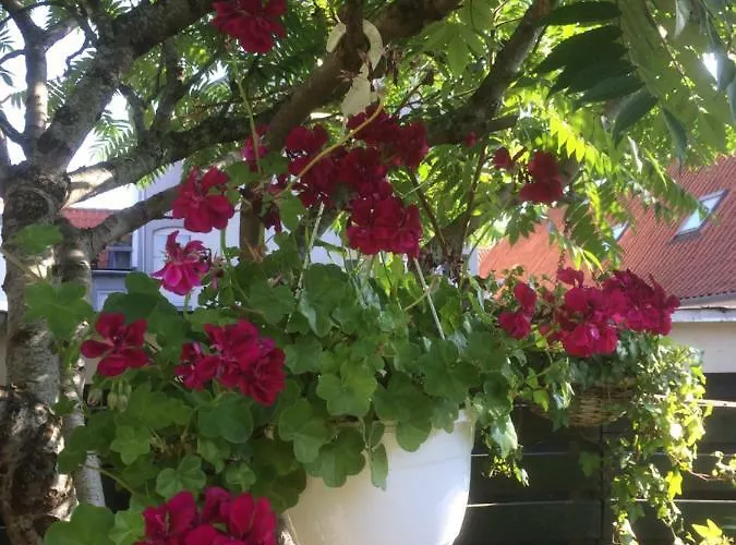 Apartment Spikergade 6 Tønder