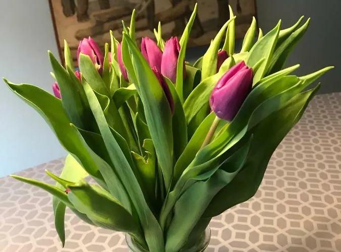 Spikergade 6 Apartment