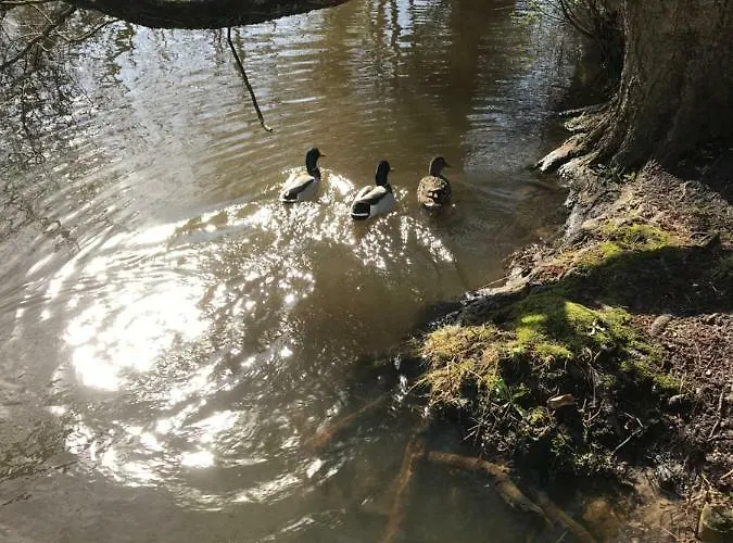 Spikergade 6 * Tønder