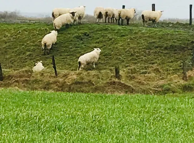 Apartment Spikergade 6 *