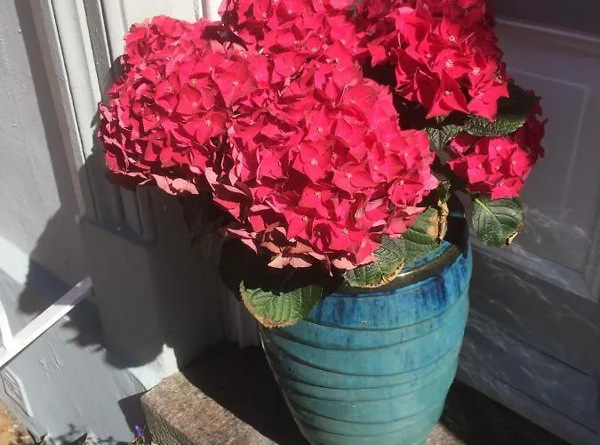 Spikergade 6 Apartment *